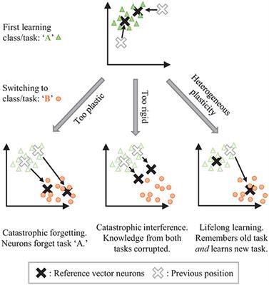 Frontiers Controlled Forgetting Targeted Stimulation and